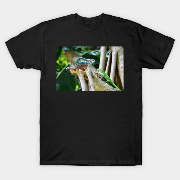 chameleon T-Shirt by RaphaelWolf